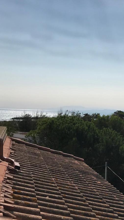 Vias Plage : Residence Securisee Bord De Mer Экстерьер фото